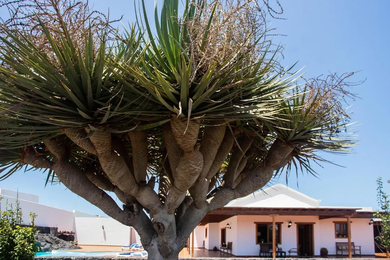 Casa Lola Lanzarote Piscina Climatizada Y Wifi Free Villa San Bartolome