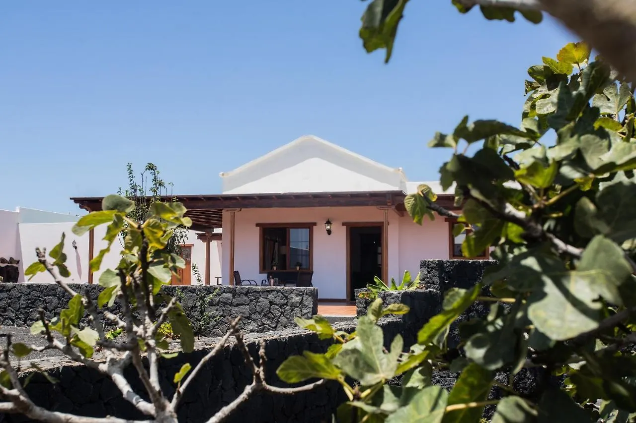 Casa Lola Lanzarote Piscina Climatizada Y Wifi Free Villa San Bartolome  San Bartolome (Las Palmas)